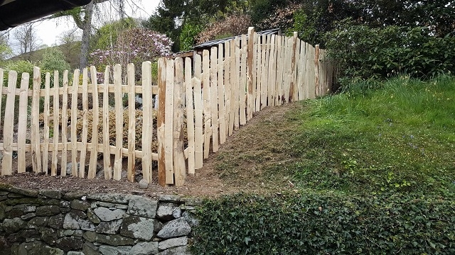 013 Cleft Chestnut Picket fencing works well on slopes Rustic Cleft Chestnut Picket fencing works well on slopes in Herefordshire