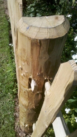031 Detail of the posts used for mortised frame picket fencing and estate grade post and rail Detail of the posts used for mortised frame picket fencing and estate grade post and rail