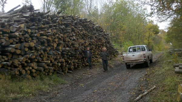 Firewood ready for delivery to the yard Firewood ready for delivery to the yard