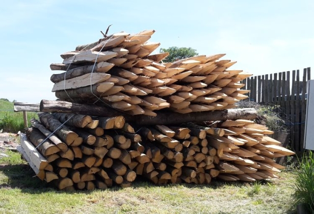 Bundles of 50 chunky Chestnut mixed cleft stakes - available singly too! Bundles of 50 chunky Chestnut mixed cleft stakes - available singly too!