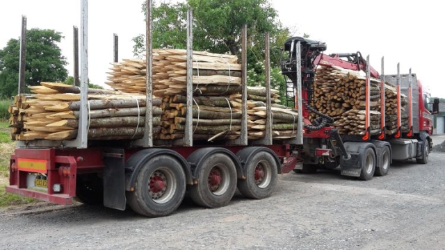 Chunky Chestnut stakes going off to the National Trust Chunky Chestnut stakes going off to the National Trust