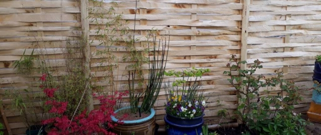 Pretty and practical cleft Chestnut lath panel fencing Pretty and practical cleft Chestnut lath panel fencing