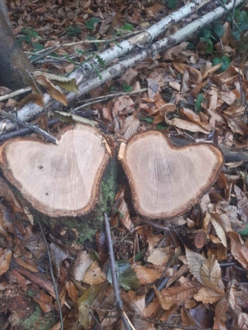 Hearts are everywhere you look....