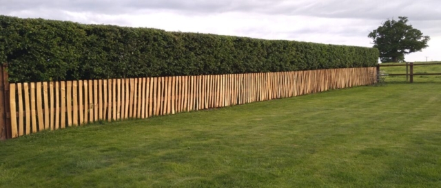 Chestnut pickets are a great way to soften an existing fence Pickets are a great way to soften an existing fence