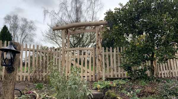 23 Cleft Chestnut rose arch, gate and picket fence Cleft Chestnut rose arch, gate and picket fence