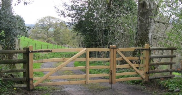 Pair of sawn Oak and cleft Chestnut Mordiford gates Pair of rustic sawn Oak and cleft Chestnut Mordiford gates