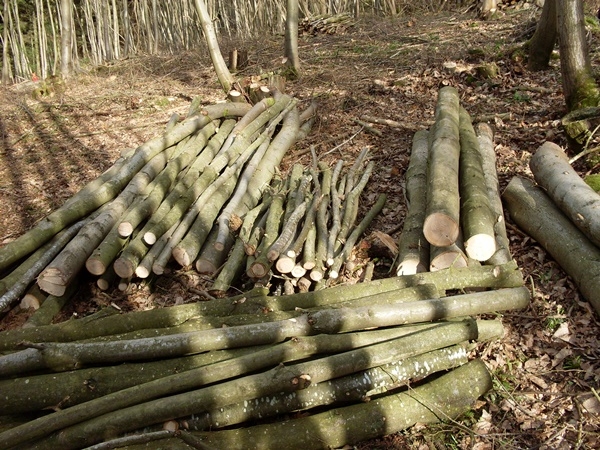 Chestnut poles and posts - Chestnut ready to be turned into fencing Chestnut poles and posts - Chestnut ready to be turned into fencing