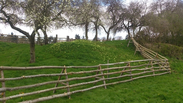 7 Free standing fence - This fence is holding sheep on a hill fort where digging is prohibited Free standing fence - This cleft Chestnut fence is holding sheep on a hill fort where digging is prohibited