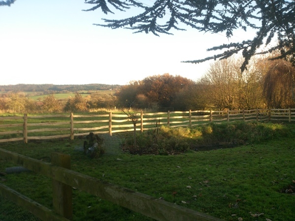 10 Cleft chestnut stock fence, with 1/2 round rails nailed onto posts Cleft chestnut stock fence, with 1/2 round rails nailed onto posts