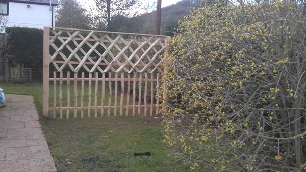 9 Cleft Chestnut bespoke diamond trellis screen Cleft Chestnut bespoke diamond trellis screen