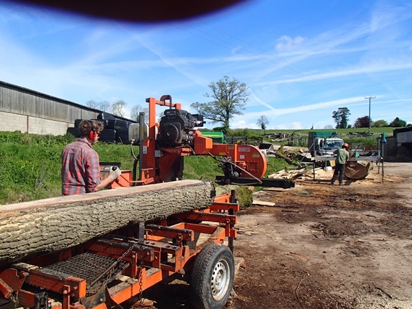 Woodmizer in action cutting oak Woodmizer in action cutting oak