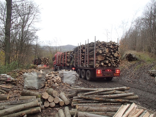 More timber felled, extracted and being delivered to the yard More timber felled, extracted and being delivered to the yard