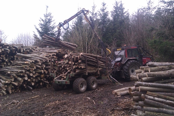 Forwarding timber with our Valmet and timber trailer Forwarding timber with our Valmet and timber trailer