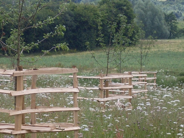 16 Chestnut tree guards - These rustic, sturdy tree guards are protecting a newly planted orchard from cattle Cleft Chestnut tree guards - These rustic, sturdy tree guards are protecting a newly planted orchard from cattle