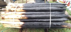 Charred Chestnut stakes