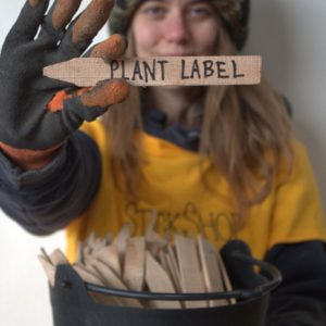 Plant labels